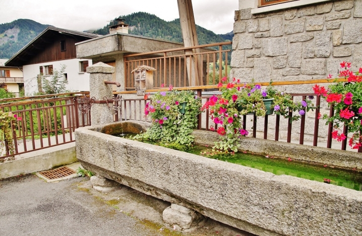 Fontaine Abreuvoir - Praz-sur-Arly