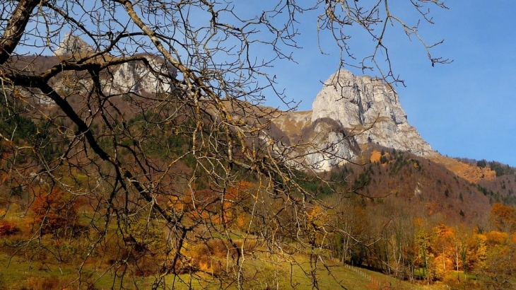 Photo prise depuis l'entrée de l'espace botanique - Saint-Ferréol