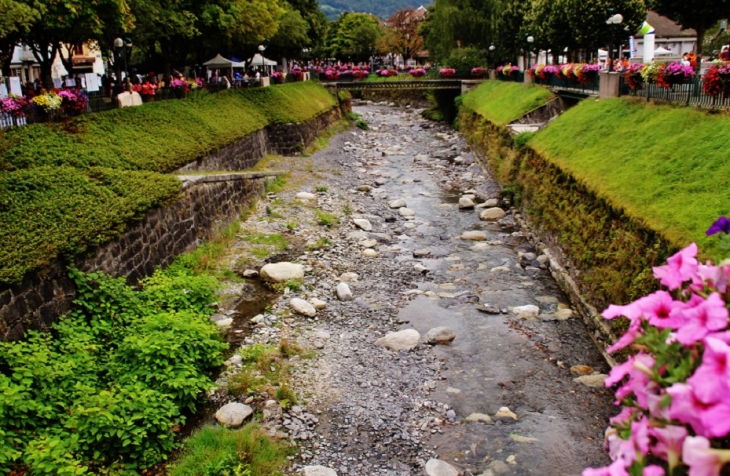 Rivière La Salanche - Sallanches