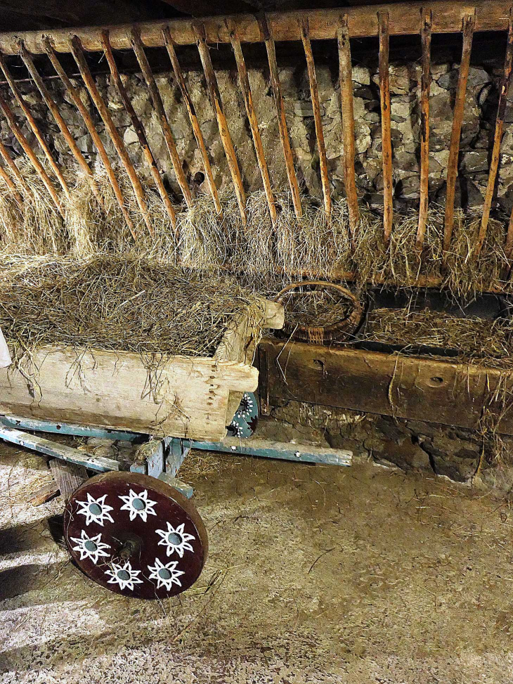 Ferme écomusée Le Clos du Parchet - Samoëns