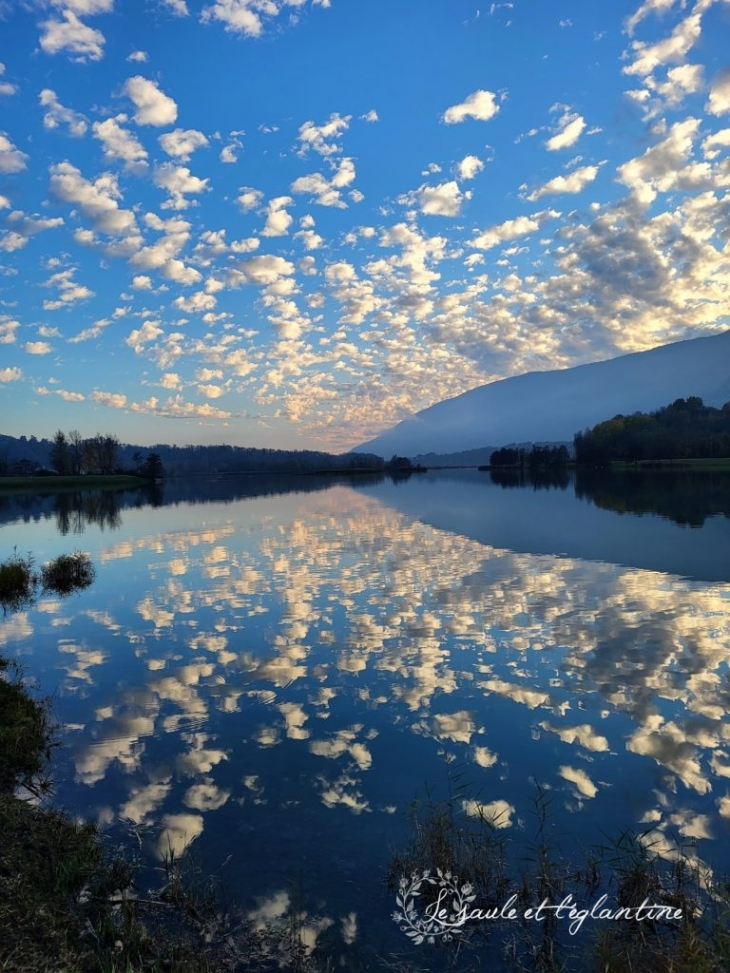 Effet miroir sur le Rhône (saule-eglantine.fr) - Seyssel