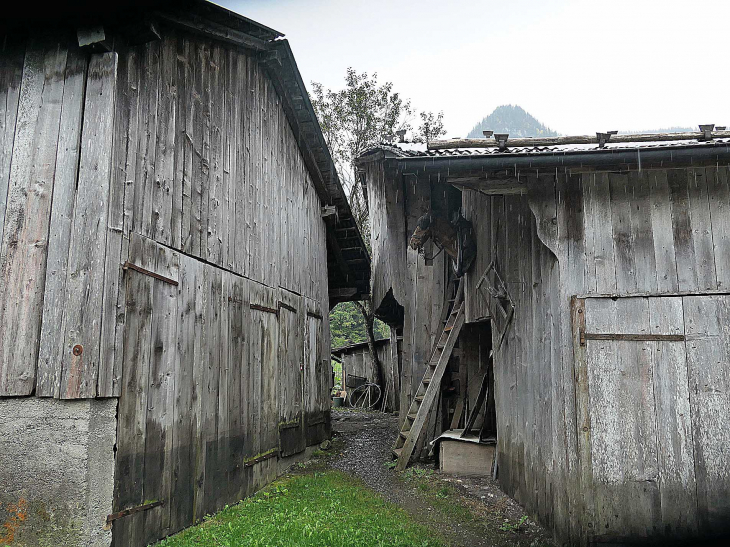 Hameau du Fay : bâtiments de ferme - Sixt-Fer-à-Cheval