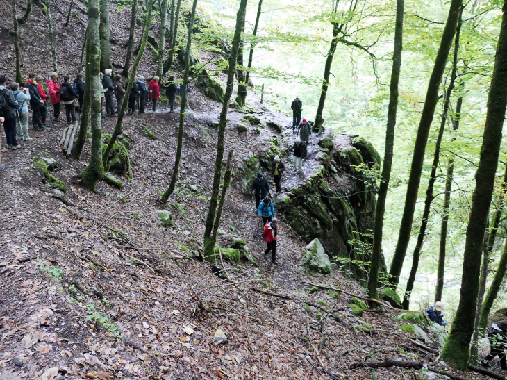 Les gorges de Tines : la descente - Sixt-Fer-à-Cheval