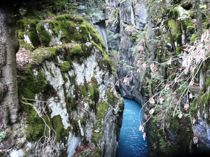 Les gorges de Tines - Sixt-Fer-à-Cheval