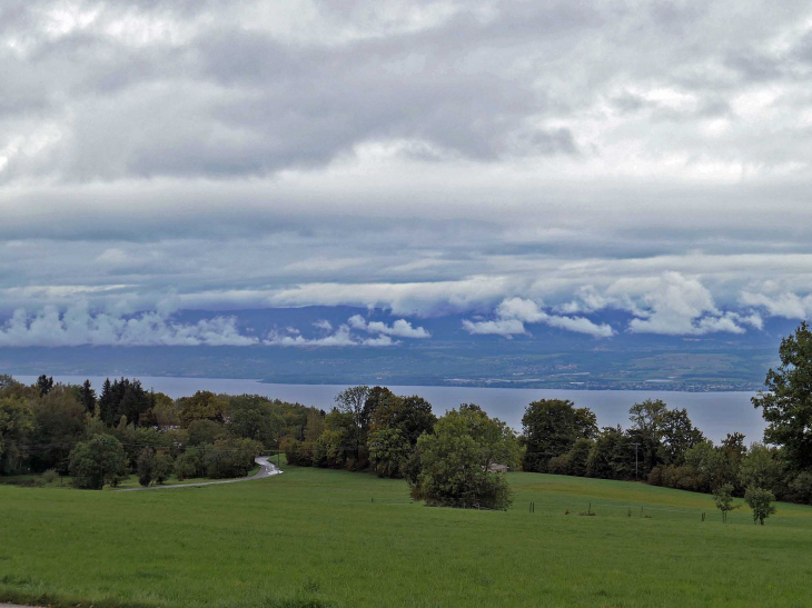 Descente vers le lac Léman - Thollon-les-Mémises