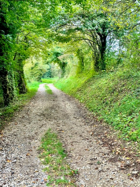 Randonnée autour de sermérieu  - Thônes