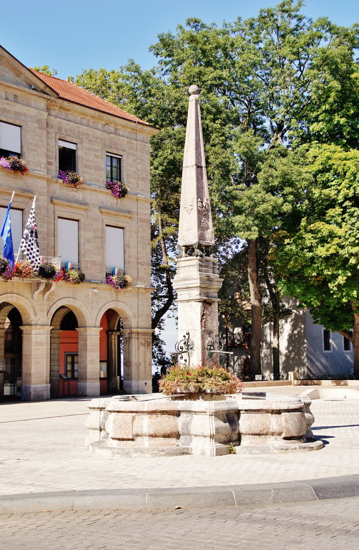 Fontaine - Thonon-les-Bains