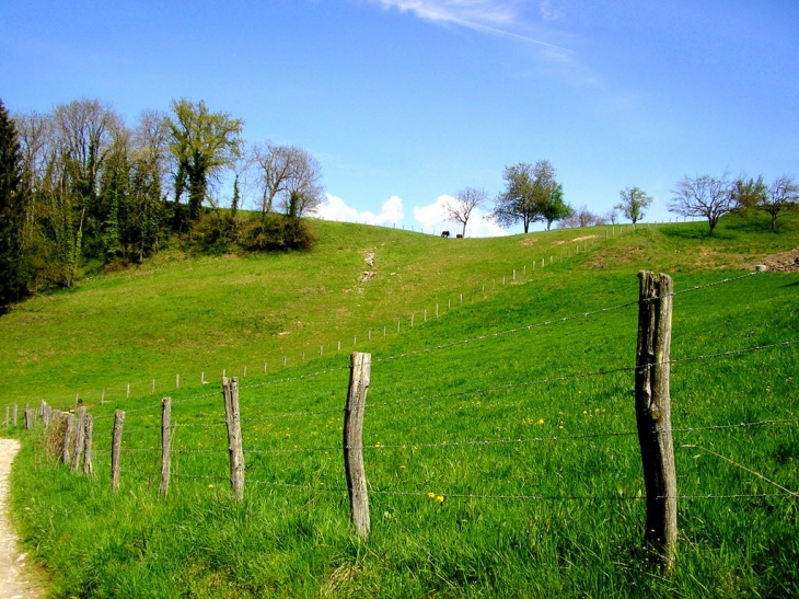 Hameau de Sallongy, sur le chemin du moulin 