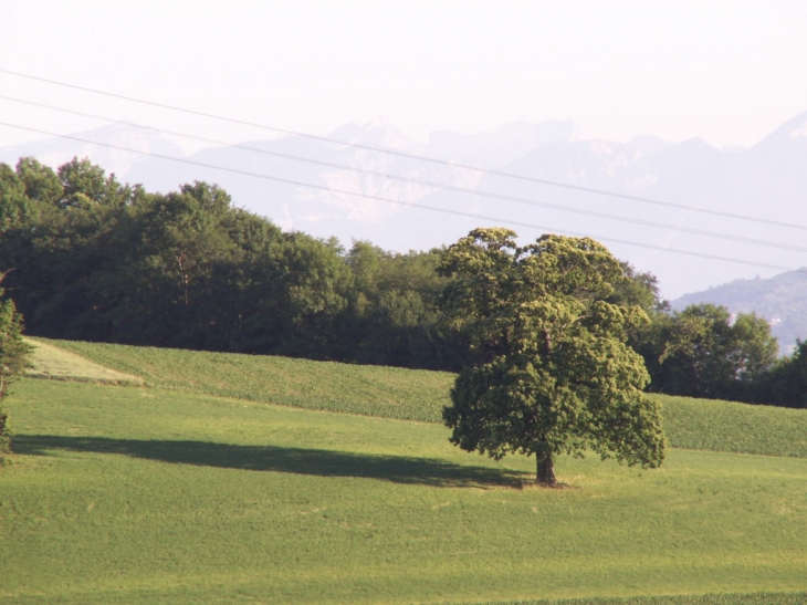 Prise de vue depuis 