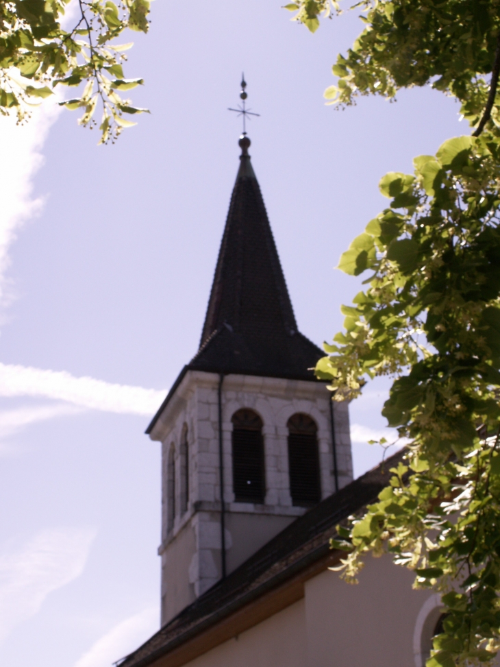 Clocher de Thusy et fleurs de tilleul