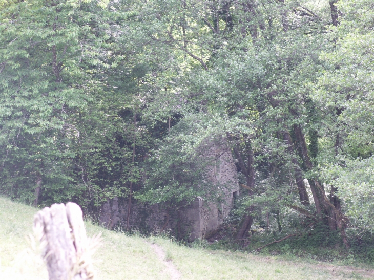 Ruines de l'ancien moulin au bas du hameau de Sallongy - Thusy