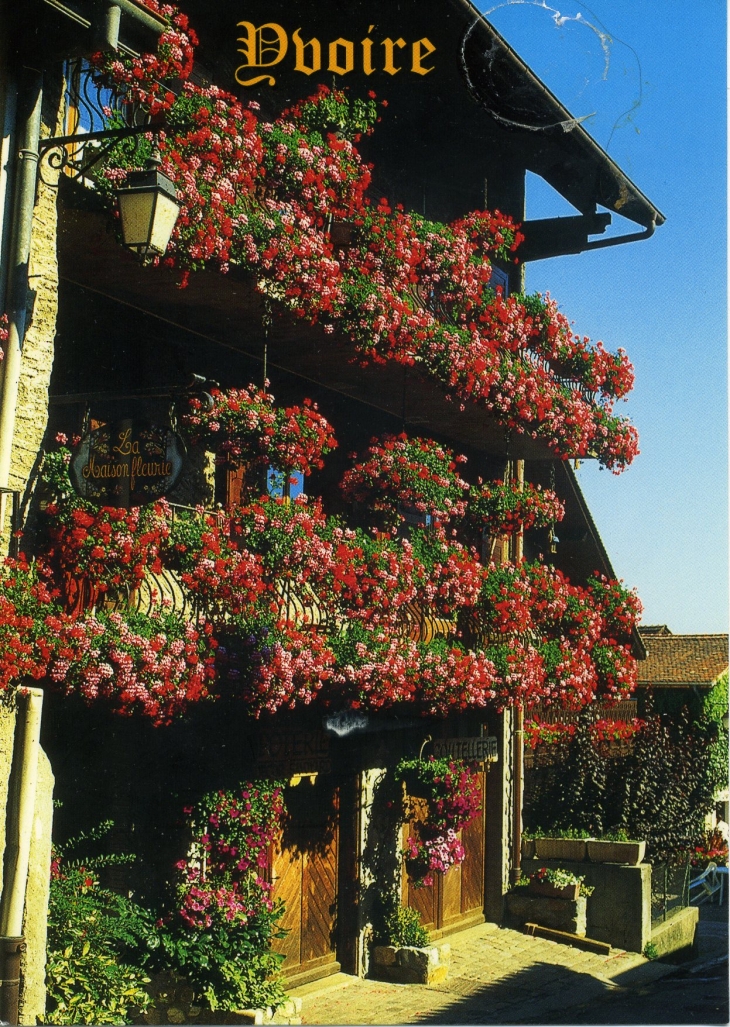 Cité médiévale fleurie au bord du Lac Léman (carte postale de 2000) - Yvoire