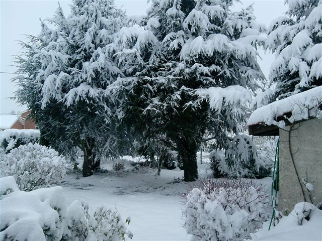 LA NEIGE .DEC 2010 - Auberives-sur-Varèze