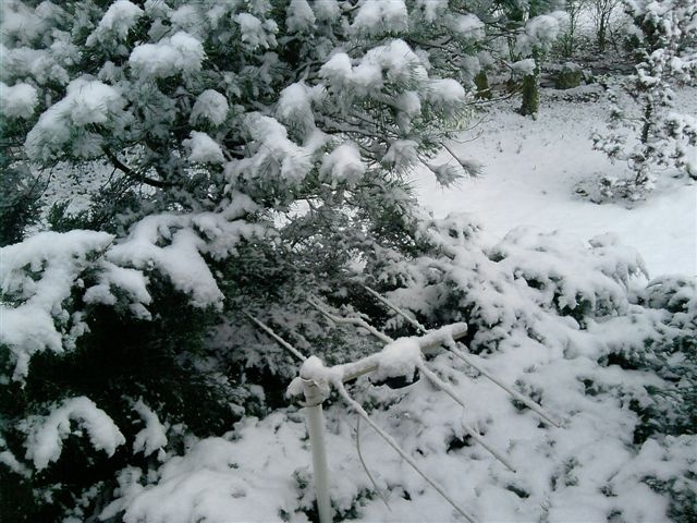 LA NEIGE .DEC 2010 - Auberives-sur-Varèze