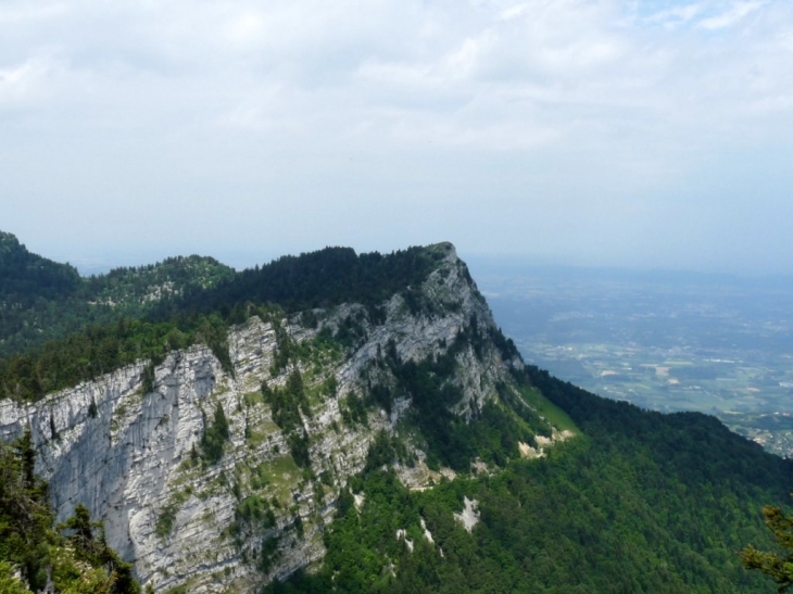 La Buffe--1623m - Autrans