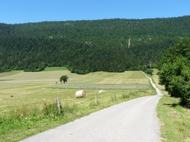 Le grand Pré --1307m - Autrans