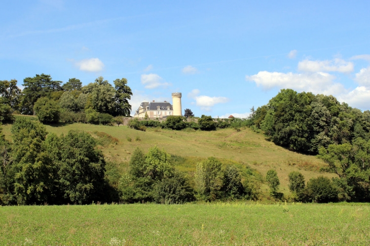 Chateau de Faverges de la tour - Faverges-de-la-Tour