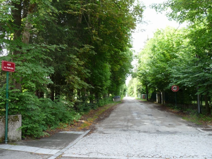 Allée des peupliers - Lans-en-Vercors