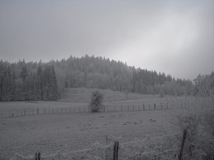 Montée de la Michandière en hiver - Merlas