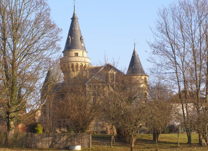 Château de Montceau - Ruy