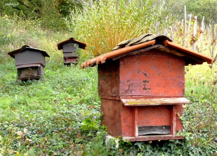 Saint-Jean-de-Bournay. Les trois ruches.