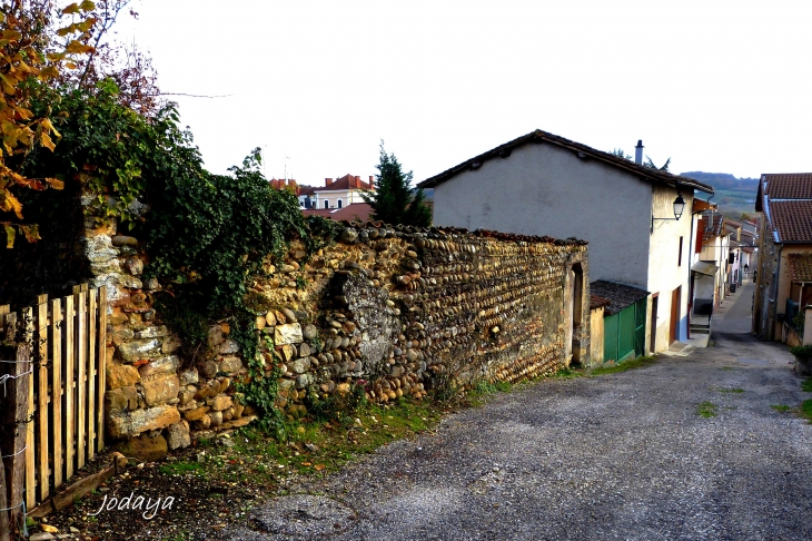 Saint-Jean-de-Bournay. Montée Constant.