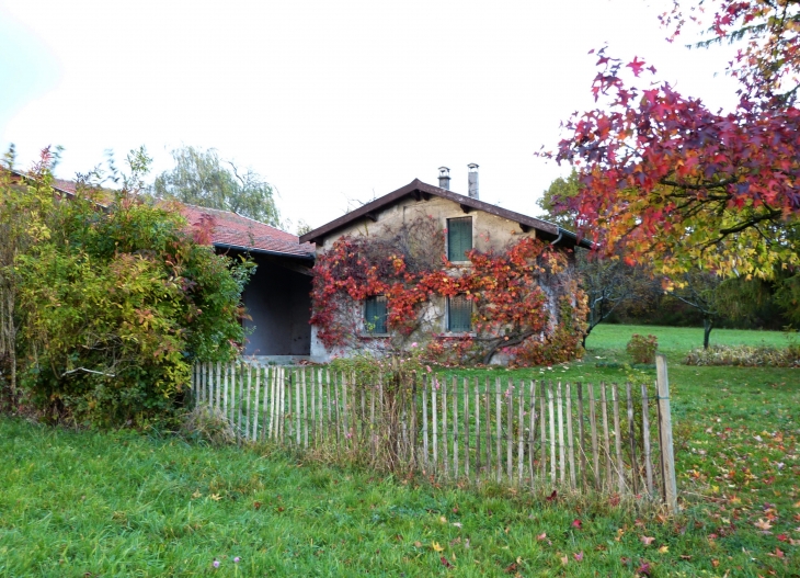 Couleurs d'automne. - Saint-Jean-de-Bournay