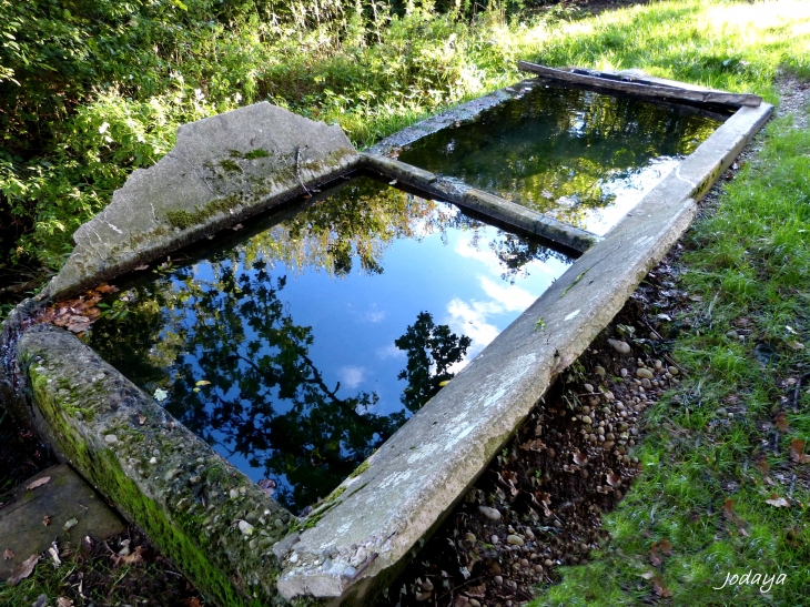 Le lavoir oublié. - Saint-Jean-de-Bournay