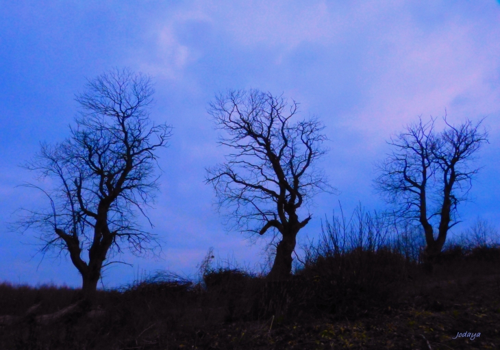 Les trois frères. - Saint-Jean-de-Bournay