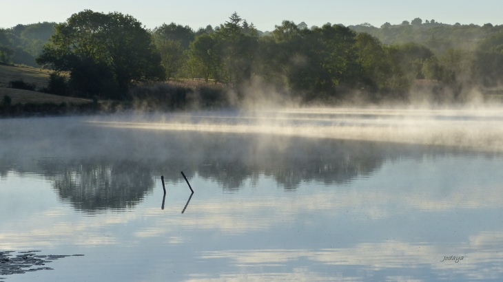 Etang-de-montjoux-saint-jean-de-bournay 2017.