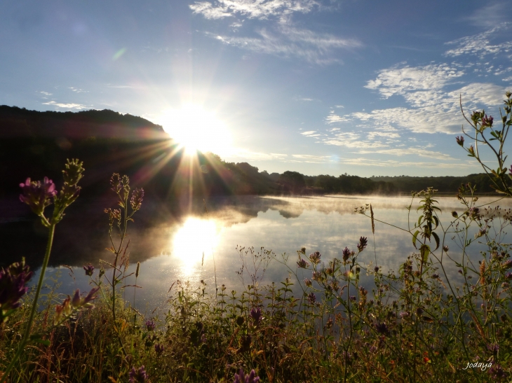 Etang-de-montjoux-saint-jean-de-bournay 2017.