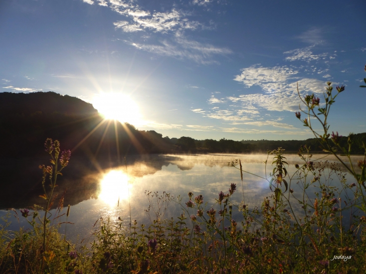 Etang-de-montjoux-saint-jean-de-bournay 2017.