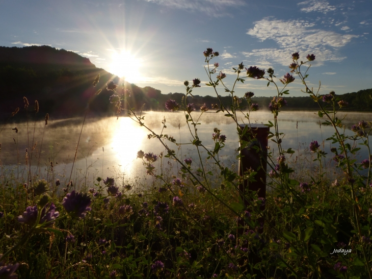 Etang-de-montjoux-saint-jean-de-bournay 2017.