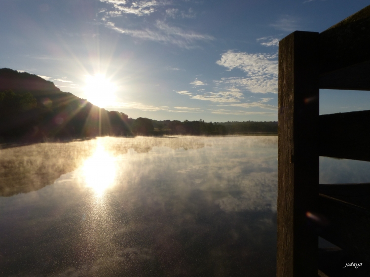 Etang-de-montjoux-saint-jean-de-bournay 2017.