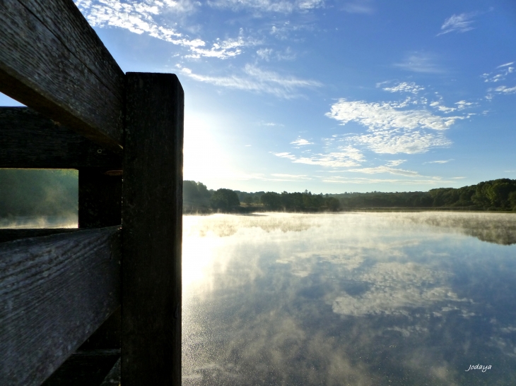 Etang-de-montjoux-saint-jean-de-bournay 2017.