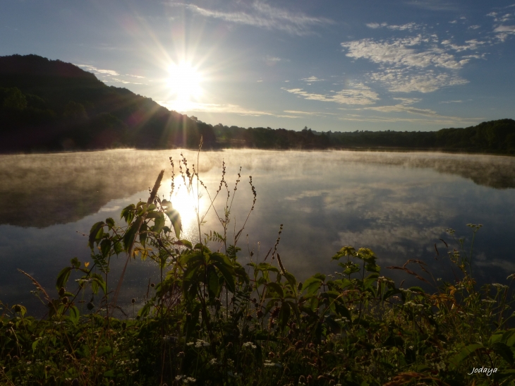 Etang-de-montjoux-saint-jean-de-bournay 2017.