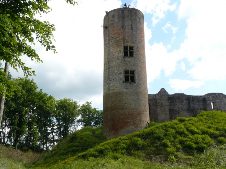 Chateau de bressieux a arivant par st pierre - Saint-Pierre-de-Bressieux