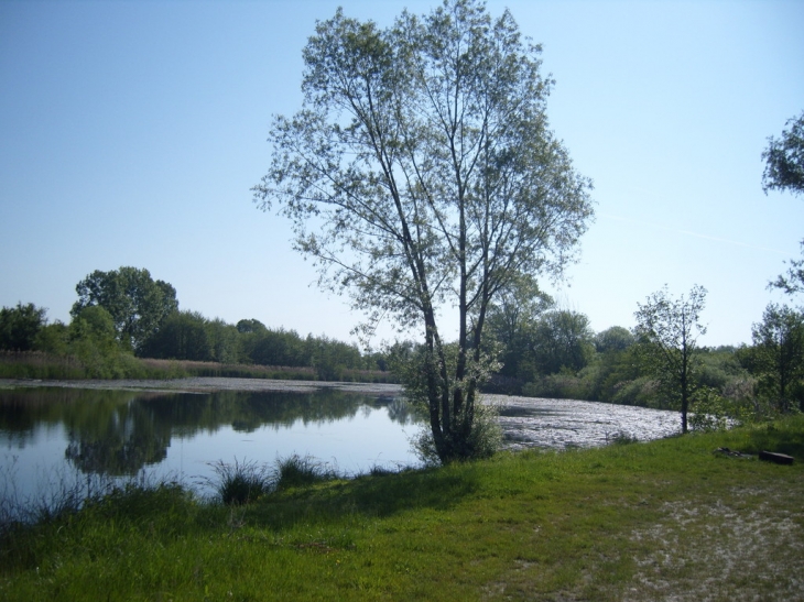 Etang de ste blandine - Sainte-Blandine