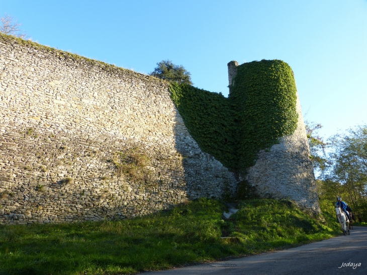 Septême. Le château.  - Septème