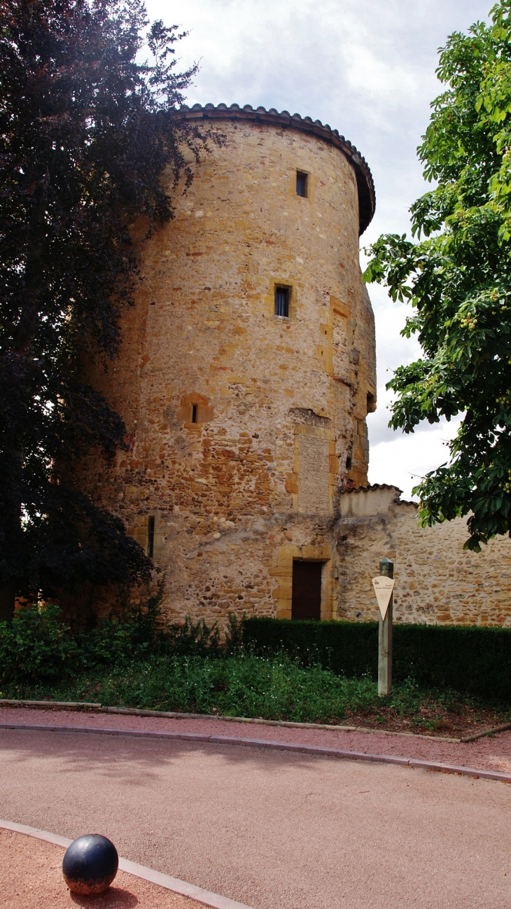 Abbaye-de-Charlieu ( Tour )