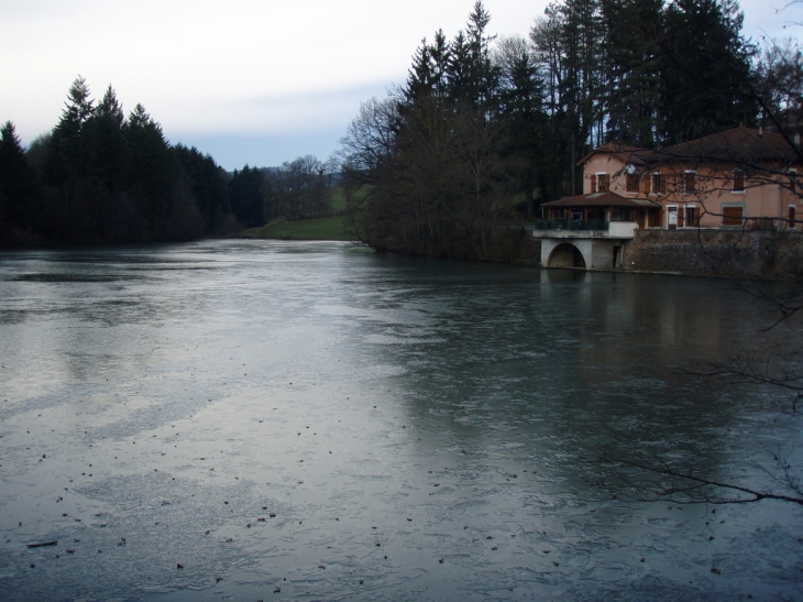 Etang - La Gresle