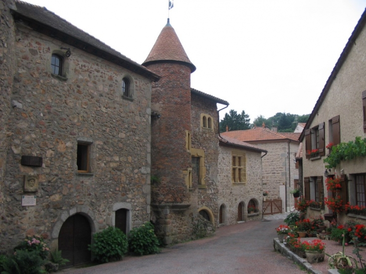 Maison renaissance Jean Papon - Le Crozet