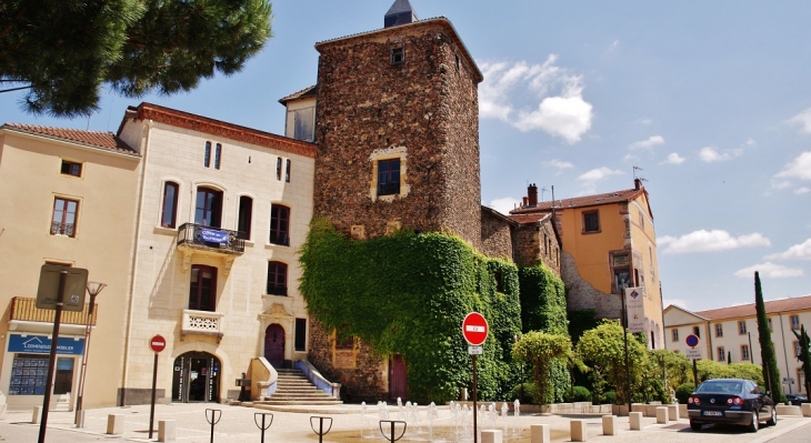 Donjon du Château - Roanne