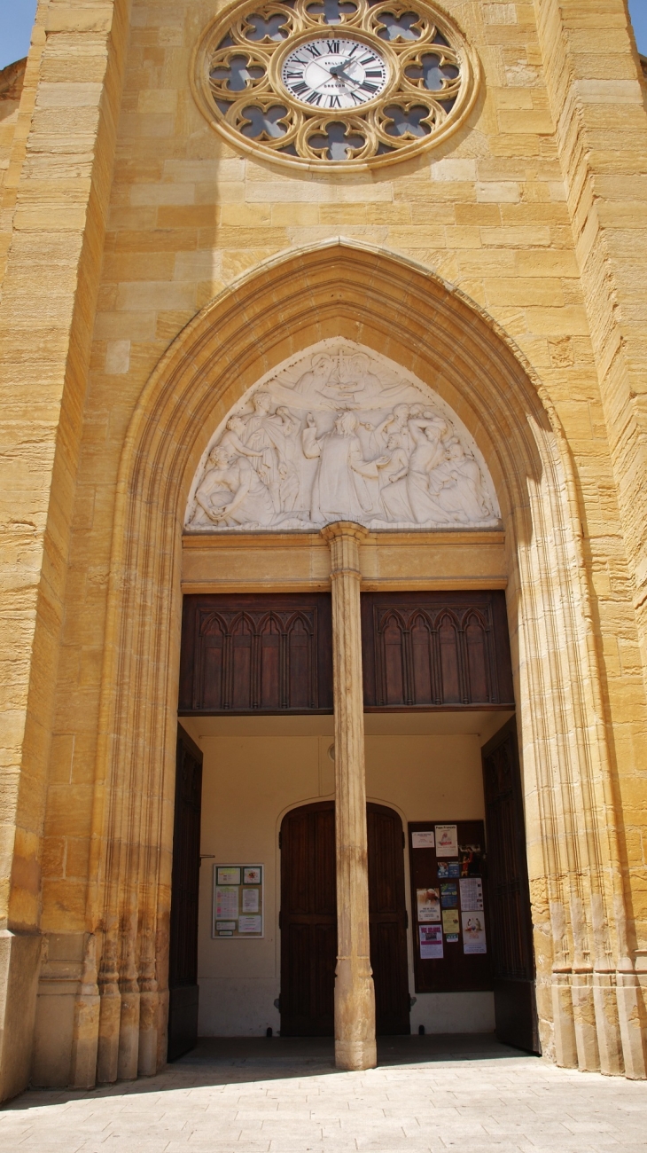 !église Saint-Etienne ( Portail ) - Roanne