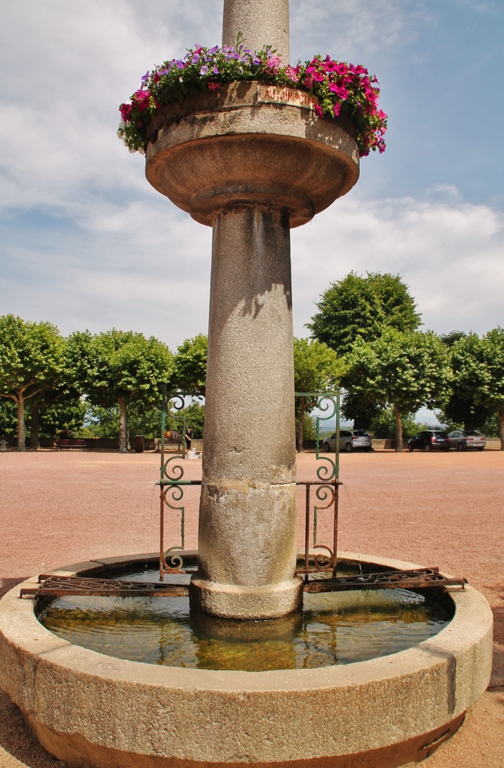 Fontaine - Saint-André-d'Apchon