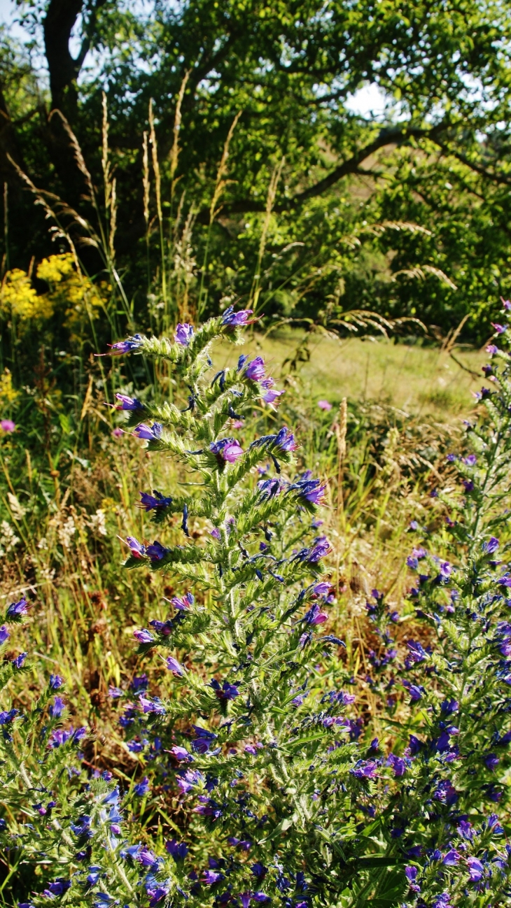  - Saint-Bonnet-des-Quarts