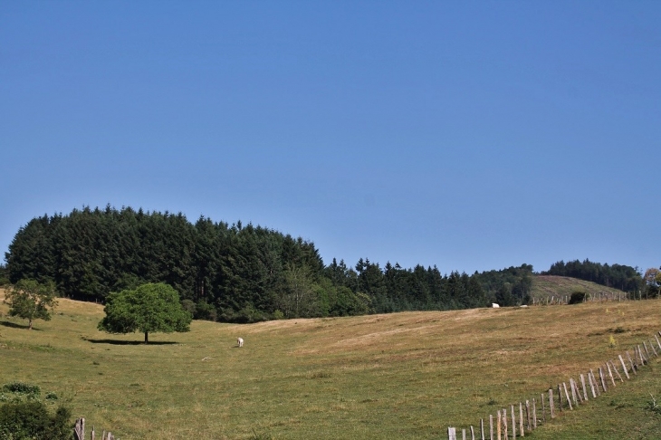  - Saint-Bonnet-des-Quarts