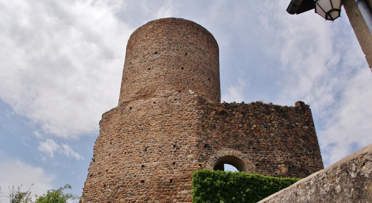 La Tour - Saint-Jean-Saint-Maurice-sur-Loire