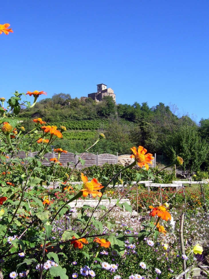 Le prieuré vu du jardin médiéval - Saint-Romain-le-Puy