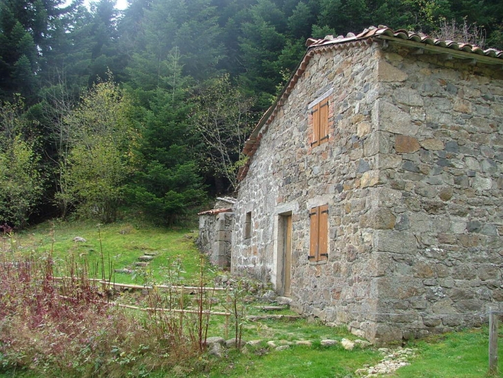 Jasserie dans la vallée de chorsin - Sauvain